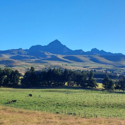 Gallery of Cotopaxi Lodge
