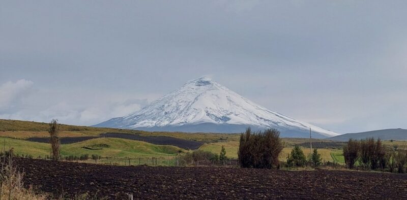 Gallery of Cotopaxi Lodge